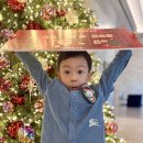 초록도마뱀 이미지