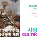 진짜손짜장 이미지