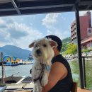 제이몽애견펜션 이미지