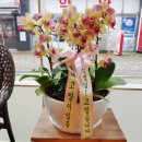 금오동물병원 이미지