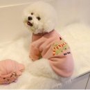 펫츠미 이미지