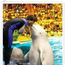 신성관광여행사 이미지