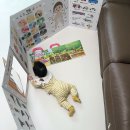 아띠래빗 아기병풍 프리미엄 사용시기와 활용법