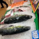 몽촌토성역 5번출구(뒤) | [노량진 수산시장] 방어 시즌, 대방어만 5번 먹어본 찐 후기