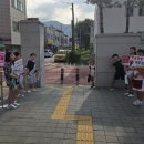 칠금초 이미지