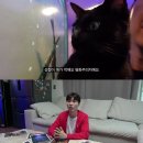 묘한정원 이미지