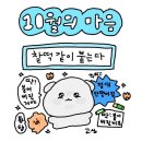 🇦🇺 호주 시드니 5박 6일 라자매 여행기 .ᐟ