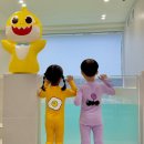 에그녹 래쉬가드 거봉 6y 귤 4y 사이즈 추천 착용샷 후기