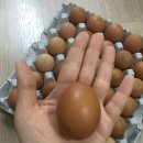 오복유통