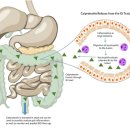 건강식품연구원 이미지