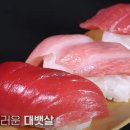 해양참치 이미지