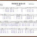 (주)캬라반 Daum카페