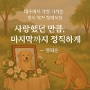 대구에서 가까운 합법 애견 장례식장, 성주 강아지 펫헤븐