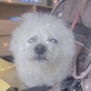 화랑동물병원 이미지