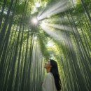 담양관광정보센터 | 담양 죽녹원 메타프로방스 가을 여행, 직접 다녀온 후기