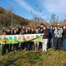 괴산군 시설관리사업소, 수확철 일손돕기 구슬땀 이미지