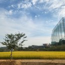 밀밭과자점 이미지