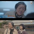 서울종합TV 이미지