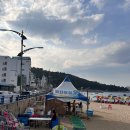 디어달 | [강원/동해] 어달해변포차 바닷가 포장마차 바다이야기 후기🏖️