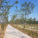 진위천 방아리 이미지