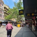 브리스마켓 | 브리즈번 마켓 추천/ 브리즈번 수요마켓 위치·시간 총정리 / Brisbane City Markets