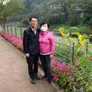 길농장2 이미지