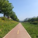 2020.05.29 기록 _안산 달보드레 &lt;작약부케 원데이 클래스&gt; ღ&#39;ᴗ&#39;ღ