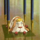 샤샤살롱 지제동삭점 | [평택지제 애견미용] 샤샤살롱 솔직 이용후기(feat.내돈내산, 입질강아지)