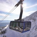 Pacific BUBBLES 이미지