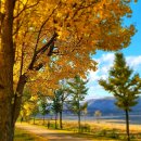 12월 아름다운 탐방길은 APEC개최지인 경주의 보문단지와 골굴사(굴곡사)로 떠납니다. 이미지