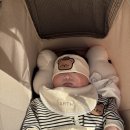 오이모네 이미지