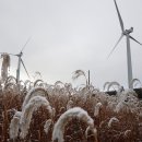 첫눈에평창 이미지