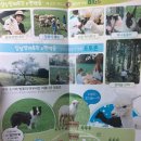상기목장 이미지