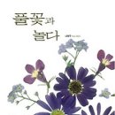 놀다 이미지