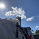우리 펫 택시(woori pet taxi) | [부산] 올리스펫택시(Olie&#39;s Pet Taxi) 양산에서 부산까지 펫택시 이용후기🐶🚖