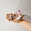 제니스 노래연습장 이미지