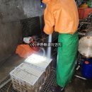 (주)푸른환경이엔지 이미지