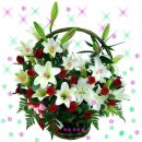 선아목장 이미지