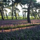 황성공원 이미지