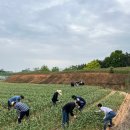 부안유통 이미지