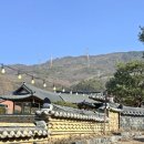 그리네 사바나 이미지