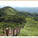 덕산계곡진입로 이미지
