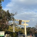 1590 | 일본 히로시마성 운영시간 입장료 폐관 정보까지