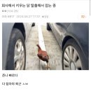 중소기업 갤러리의 평화로운 일상 이미지