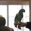 주주농장 이미지