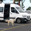 잘다녀오시개 이미지