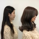 헤어린 네이버블로그