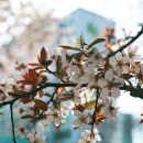 태현공원앞 이미지