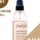 폭스 헤어 이미지