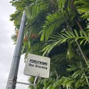 맘 인 사이언스 & 아트 | 여행] 연꽃 닮은 박물관! 싱가포르 아트사이언스 뮤지엄 전시 솔직 후기 🪷#마리나베이#싱가포르전시